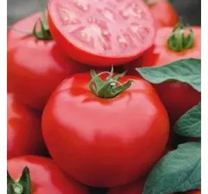 Насіння томату Томск F1 (2018) 1000 насіння — середньо-ранній (70-75 днів), детермінантний, круглий Bejo