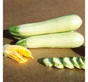 Насіння кабачка Кавілі F1, 50 насіння — партенокарпік, ранній гібрид, світлий LEDAAGRO