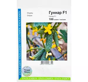 Насіння огірка Гуннар F1, 100 насіння — ультраранній гібрид, партенокарпік, Enza Zaden