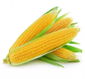 Турбін F1/Turbin F1 насіння солодкої кукурудзи, 50000 насіння — суперсолодка, надранка
