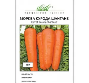 Насіння моркви Курода Шантане, 10 г - ранній (85-90 днів), тип Шантане, United Genetics