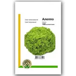 Насіння салату Алеппо , 100 шт — світло-зелений, тип Лолло Біонда, Rijk Zwaan