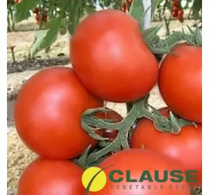 Насіння томату Крістал F1 (Clause/САДИБА ЦЕНТР) 0,02 г — ранній (65-75 дн), червоний, круглий, індитермінантний.