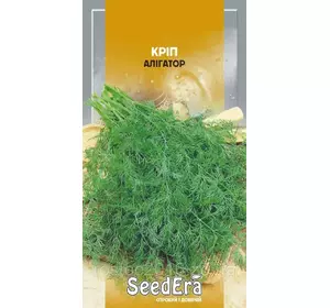 Алігатор насіння кропу 20 г — середньостиглий сорт (40-50 днів), ароматний, Seedera