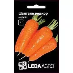 Шантане Редкор насіння моркви, 2 г — середньопоздий сорт (120-130 днів) LEDAAGRO