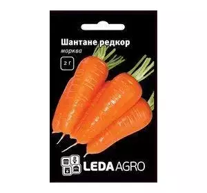 Шантане Редкор насіння моркви, 2 г — середньопоздий сорт (120-130 днів) LEDAAGRO