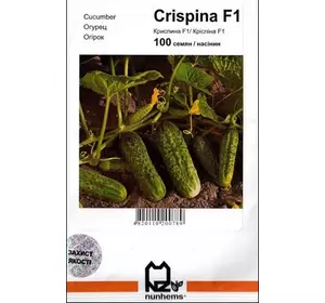 Насіння огірка Кріспина F1, 100 насіння — ранній гібрид (38-40 днів), партенокарпік, Nunhems