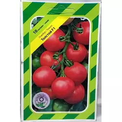Насіння томату Толстой F1, 10 насінин — ранній (70-72 дня), червоний, індетермінантний, Bejo