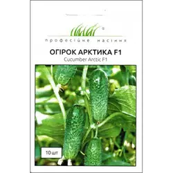 АРКТИКА F1 / АРЕНА F1 насіння огірка, 10 насіння — партенокарпічний, ранній (36-40 днів) NongWoo Bio