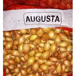Августо/Augusta цибуля совок (арпаш), 1 кг — жовтий, озимовий