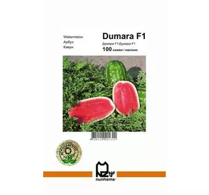 Насіння кавуна Думара F1, 100 сем - середньо-ранній (75 дн), видовжено-овальний, вага 12-16 кг Nunhems