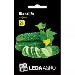 Шакті F1 насіння огірка, 50 насінин — партенокарпічний огірок, LEDAAGRO