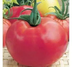 Насіння томату Посейдон F1, 20 насінин — ранньостиглий (97-100 дн), Елітний ряд, дійсний до 01.22, УЦІНКА