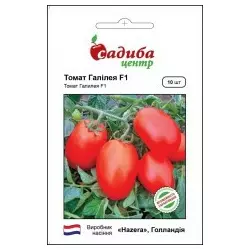 Насіння томату Галілея F1, 10 насінин — томат червоний, детермінантного, Hazera,