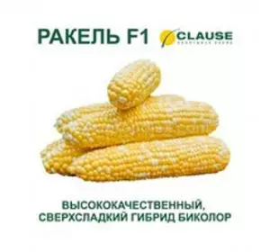 РАКЕЛЬ F1 / RAKEL F1 насіння солодкої кукурудзи, 5 г - суперсолодка, біколор, Clause