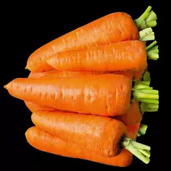 Шантане Червоне Серце насіння моркви, 1 г — Середньостиглий сорт (105-110 днів) LEDAAGRO