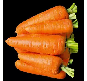 Шантане Червоне Серце насіння моркви, 1 г — Середньостиглий сорт (105-110 днів) LEDAAGRO