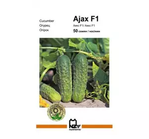 Аякс F1 насіння огірка, 50 насінин — бджолозапильний, ранній, Nunhems