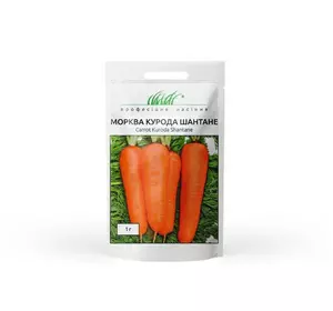 Насіння моркви Курода Шантане, 1 г — середньопоздня сортова (85-90 днів), тип Шантане United Genetics