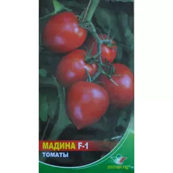 Насіння томату Мадіна F1, 20 насінин — ранній (85 - 87 дн), Елітний ряд