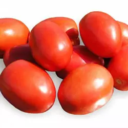 Томат Ріо гранде/Griffaton, 500 г. — насіння сортового, детермінантного томата