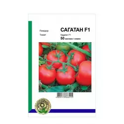 Насіння томату Сагатан F1, 50 сем - ранній (90-95 днів), червоний, детермінантний, круглий, Syngenta