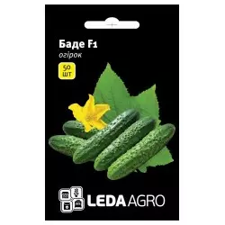 Насіння огірка Баде F1, 50 насінин — партенокарпічний огірок, Leda Agro
