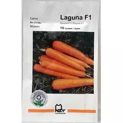Лагуна F1 насіння моркви, 10 г - ультра-ранній (60-65 днів), тип Нантський, Nunhems