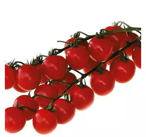 Томат Конорі F1, 10 насіння — томат-чері детермінантний, Kitano Seeds