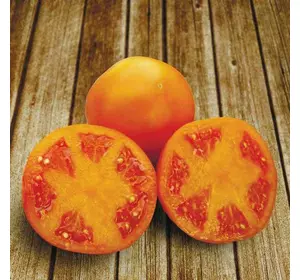 Насіння томату Айсан F1, 10 насінин — середньостиглий (110-120 дн), Kitano Seeds