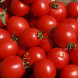 СОЛЕРОССО F1 / SOLEROSSO F1, насіння 20 — томат детермінантний, Професійне насіння