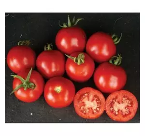 ШАСТА F1/SHASTA F1, 10 насіння — томат детермінантний, Lark Seeds