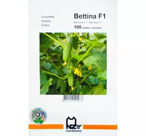 Насіння огірка Беттіна F1, 100 насінин — ранній гібрид (38-40) днів, партенокарпик, Nunhems