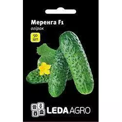 Насіння огірка Меренга F1, 50 насіння — ультраранній гібрид (38-40 днів), партенокарпік, LEDAAGRO