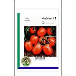 Чиблі F1 насіння томата, 100 насіння — детермінантне, вершка, Syngenta