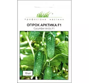АРКТИКА F1 / АРЕНА F1 насіння огірка, 10 насіння — партенокарпічний, ранній (36-40 днів) NongWoo Bio