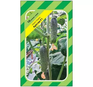 Насіння огірка Арістан F1, 10 насінин — партенокарпічний огірок, Bejo Zaden