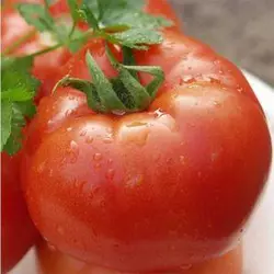 Насіння томату Полбиг F1 1000 насінин — ранній (62-65 дня), червоний, детермінантний, круглий