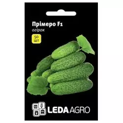 Насіння огірка Прімеро F1, 50 насінин — партенокарпічний огірок, Yuksel Seeds