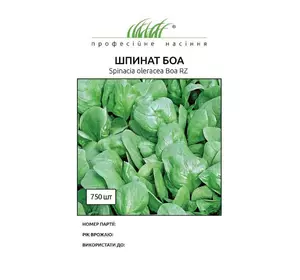 Насіння шпинату Боа (Rijk Zwaan/САДИБА ЦЕНТР), 200 насінин — ранній (45 днів), холодостійкий, листя округлі