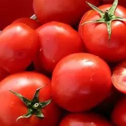 ПРЕЗИДЕНТ II F1 / PRESIDENT II F1, 8 насіння — томат індитермінантний, Seminis