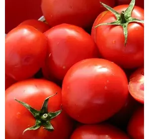 ПРЕЗИДЕНТ II F1 / PRESIDENT II F1, 8 насіння — томат індитермінантний, Seminis