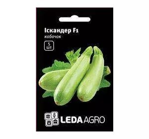 Насіння кабачка Іскандер F1, 5 насіння - ультраранній гібрид (40-45 днів), салатовий, LEDAAGRO
