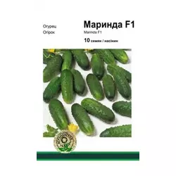 Маринда F1 насіння огірка, 10 насінин — ранній, партенокарпічний, Seminis