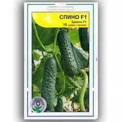 Спино F1 / SPINNO F1 насіння огірка, 10 насінин — партенокарпічний, Syngenta