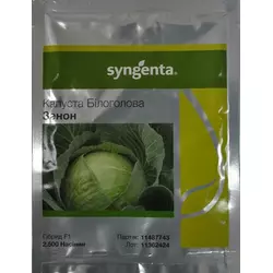 Насіння капусти Зенон F1 (Syngenta) 2500 насіння — пізній гібрид (130-135 днів), для зберігання, білочана.