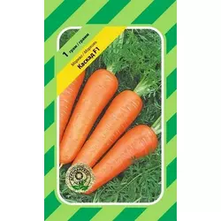 Каскад F1 насіння моркви, 1 г — 130 днів, тип Шантане Bejo Zaden