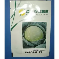 Насіння капусти Капорал F1 (Clause), 2500 насінин — середня (85-100 днів), білоголова