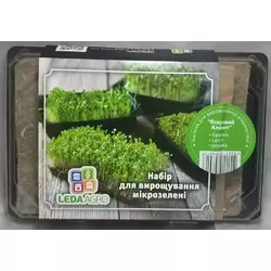 Яскравий Акцент набір для вирощування мікрозелені LEDAAGRO