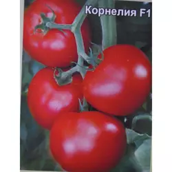 Насіння томату Корнелія F1, 20 насінин — ранній (100-105 дн), Елітний ряд, дійсний до 01.2024, УЦІНКА